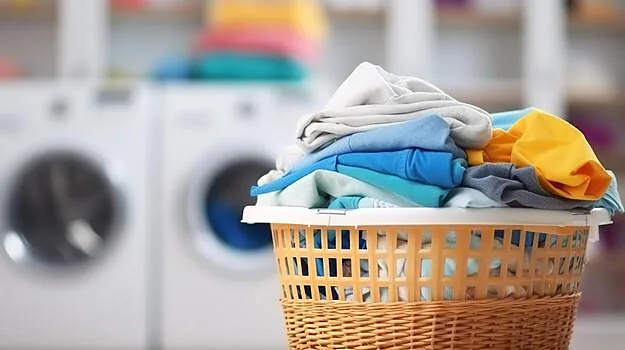 Same Day Laundry St. Cloud